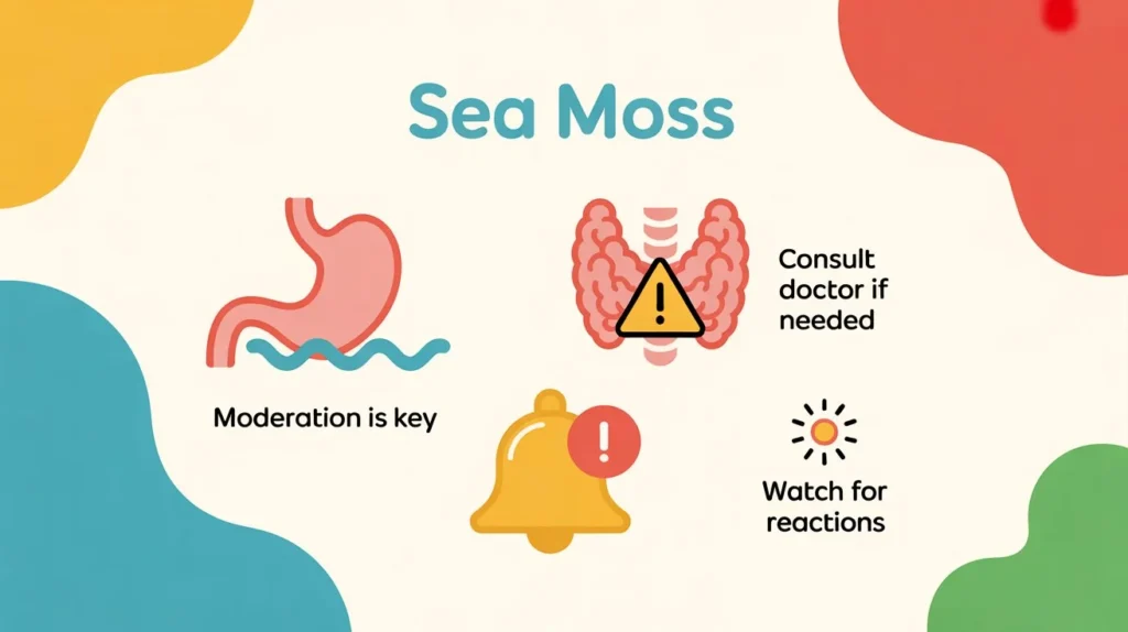 Safety and Side Effects of Sea Moss