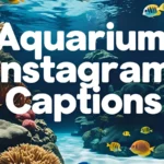 Aquarium Instagram Captions