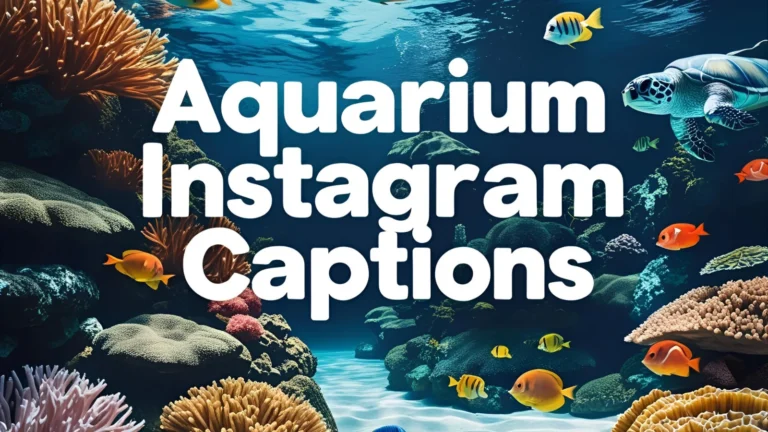 350+ Aquarium Instagram Captions