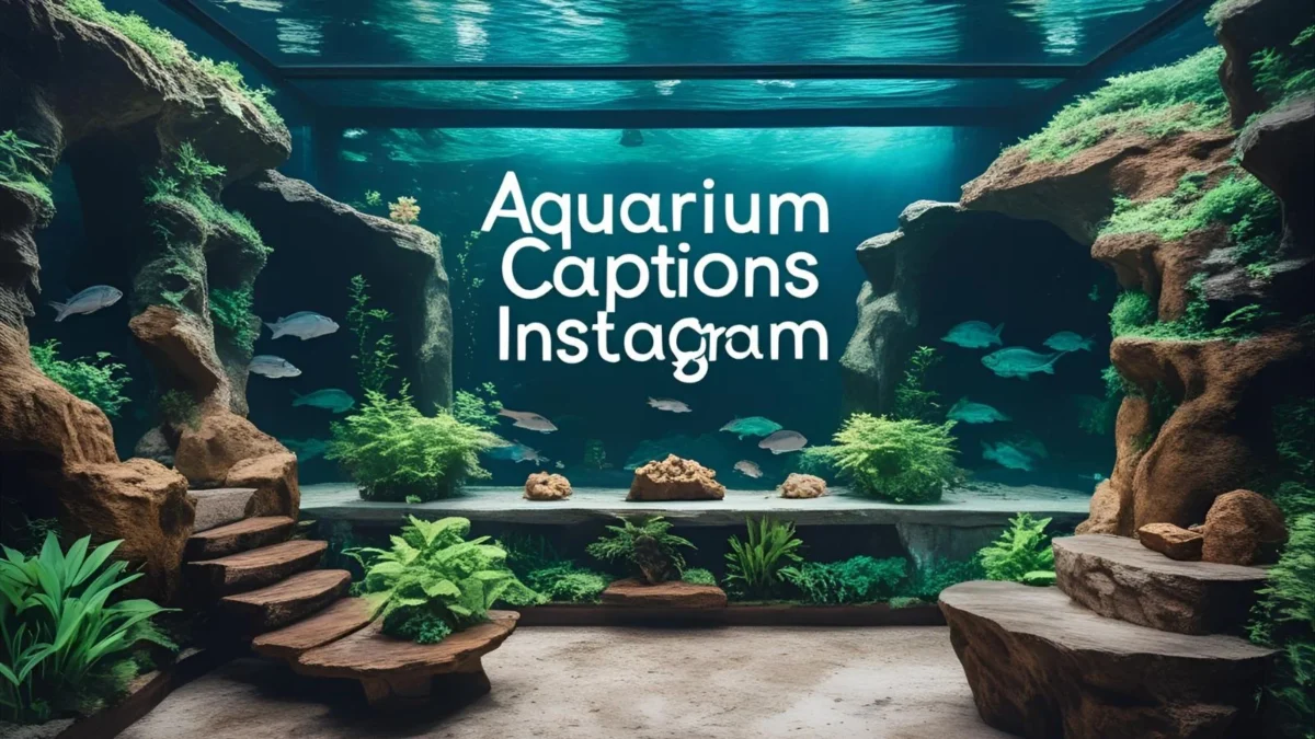 550+ Aquarium Captions Instagram 2025-2026