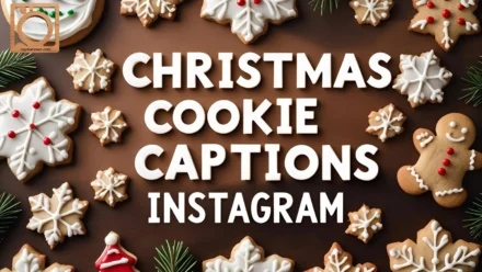 500+ Christmas Cookie Captions Instagram
