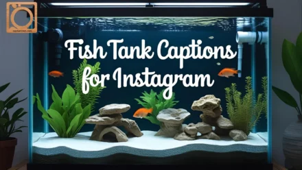 550+ Fish Tank Captions for Instagram 2025
