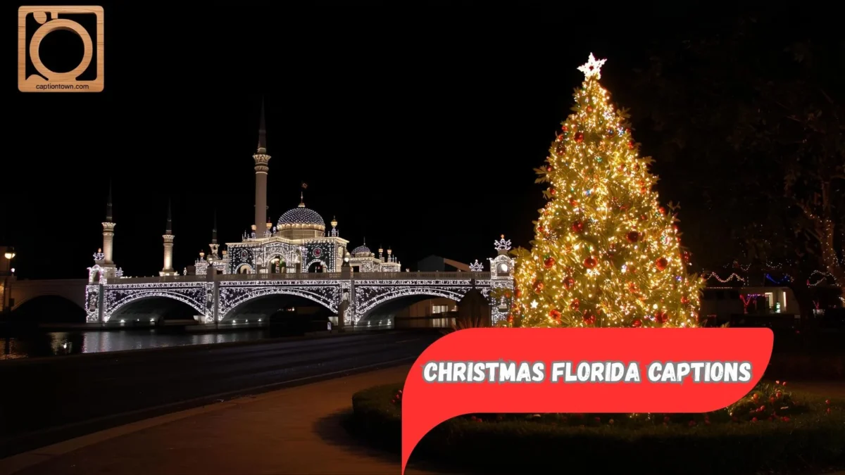 550+ Christmas Florida Captions Instagram 2025-2026