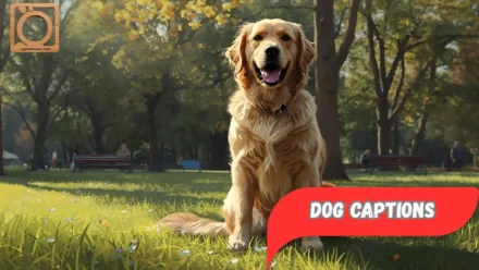 550+ Dog Captions Instagram 2025-2026 