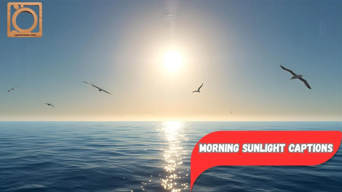 550+ Morning Sunlight Captions for Instagram 2025-2026