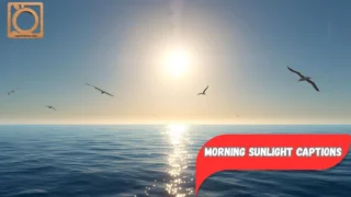 550+ Morning Sunlight Captions for Instagram 2025-2026