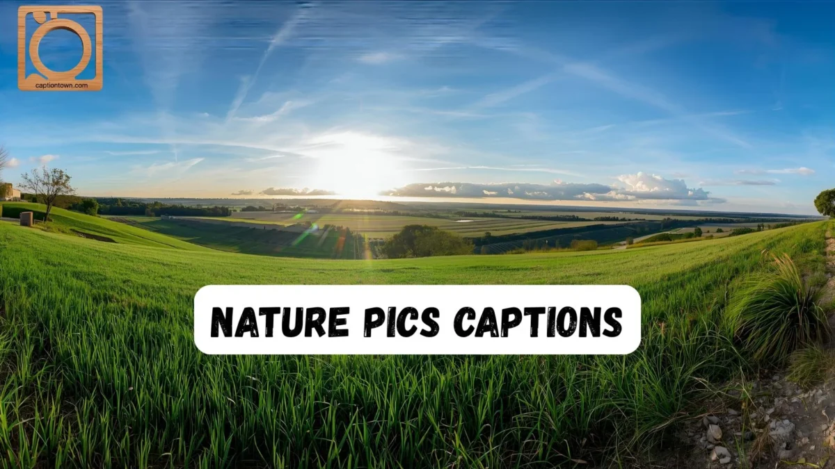 550+ Nature Pics Captions Instagram 2025-2026