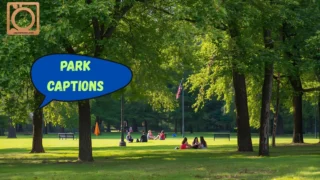550+ Park Captions for Instagram 2025-2026