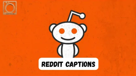 550+ Reddit Captions for Instagram 2025-2026