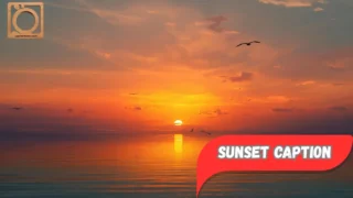 550+ Sunset Caption for Instagram 2025-2026 
