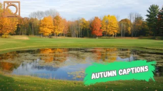 550+ Autumn Captions for Instagram 2025-2026