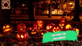 550+ Instagram Captions for Halloween 2025-2026