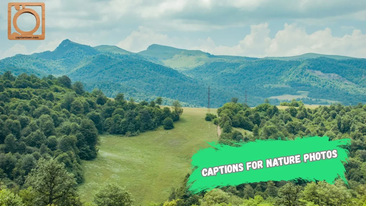 550+ Captions for Nature Photos on Instagram 2025-2026