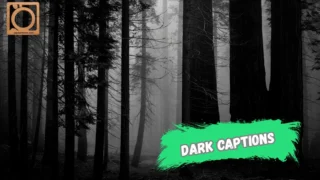 550+ Dark Captions for Instagram 2025-2026