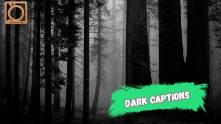 550+ Dark Captions for Instagram 2025-2026