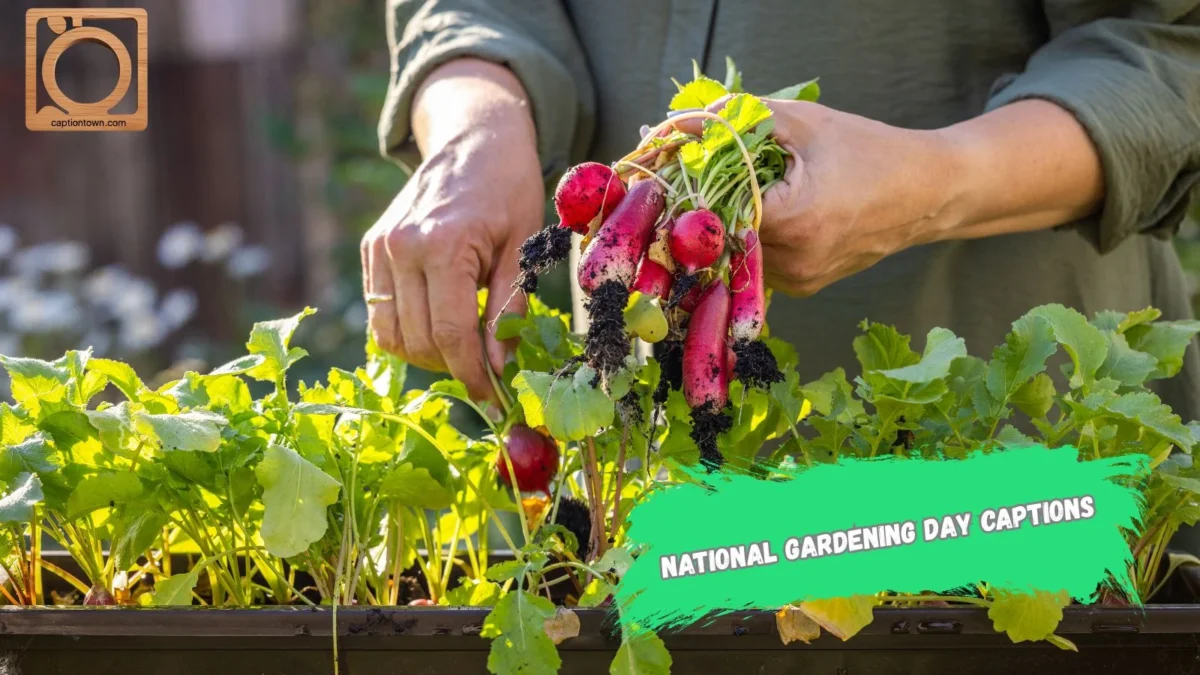 550+ National Gardening Day Captions 2025-2026 🌱🌸