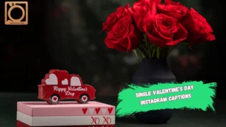 550+ Single Valentine’s Day Instagram Captions 2025-2026