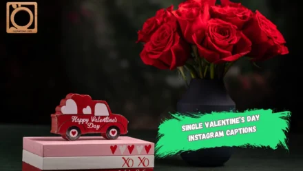 550+ Single Valentine’s Day Instagram Captions 2025-2026