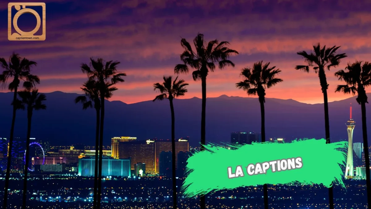 550+ LA Captions For Instagram 2025-2026