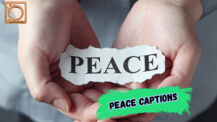 550+ Peace Captions for Instagram 2025-2026