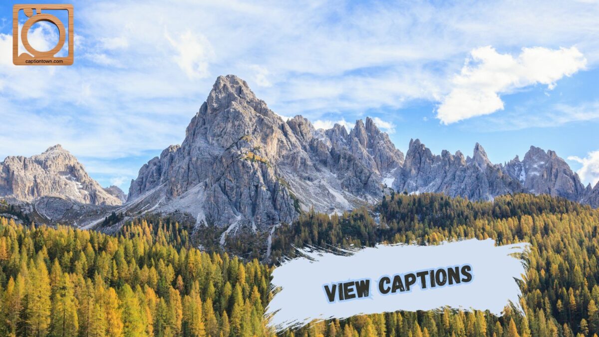 550+ View Captions Instagram 2025–2026