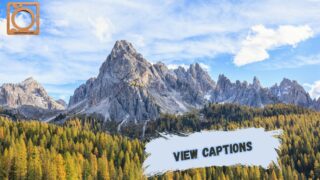 550+ View Captions Instagram 2025–2026