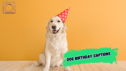 550+ Dog Birthday Captions for Instagram 2025–2026 🐶🎉