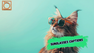 550+ Sunglasses Captions for Instagram 2025–2026