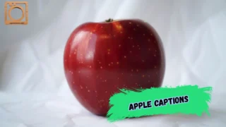 550+ Apple Captions for Instagram 2026
