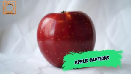550+ Apple Captions for Instagram 2026