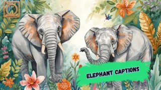 550+ Elephant Captions for Instagram 2026