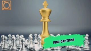 550+ King Captions for Instagram 2026 👑