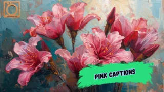 550+ Pink Captions for Instagram 2026