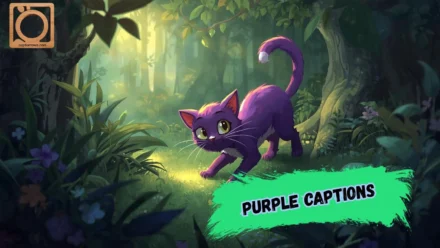 550+ Purple Captions for Instagram 2026