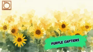 550+ Yellow Captions for Instagram 2026 