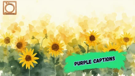 550+ Yellow Captions for Instagram 2026 