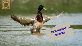 550+ Duck Hunting Captions 2026