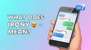 What Does Irony Mean? 🤔