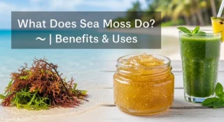 What Does Sea Moss Do? 🌊: Benefits, Usage, and Safety Guide